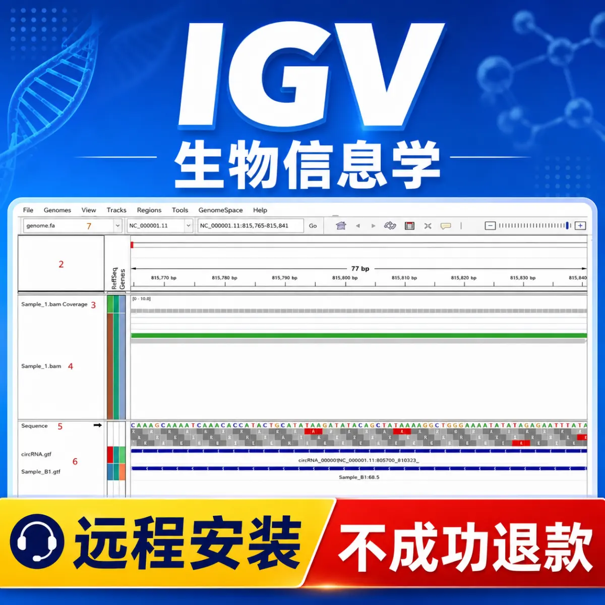 IGV 生物信息软件
