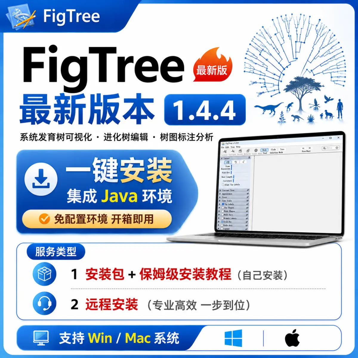 FigTree 系统发育数可视化 进化树编辑 数图标注分析
