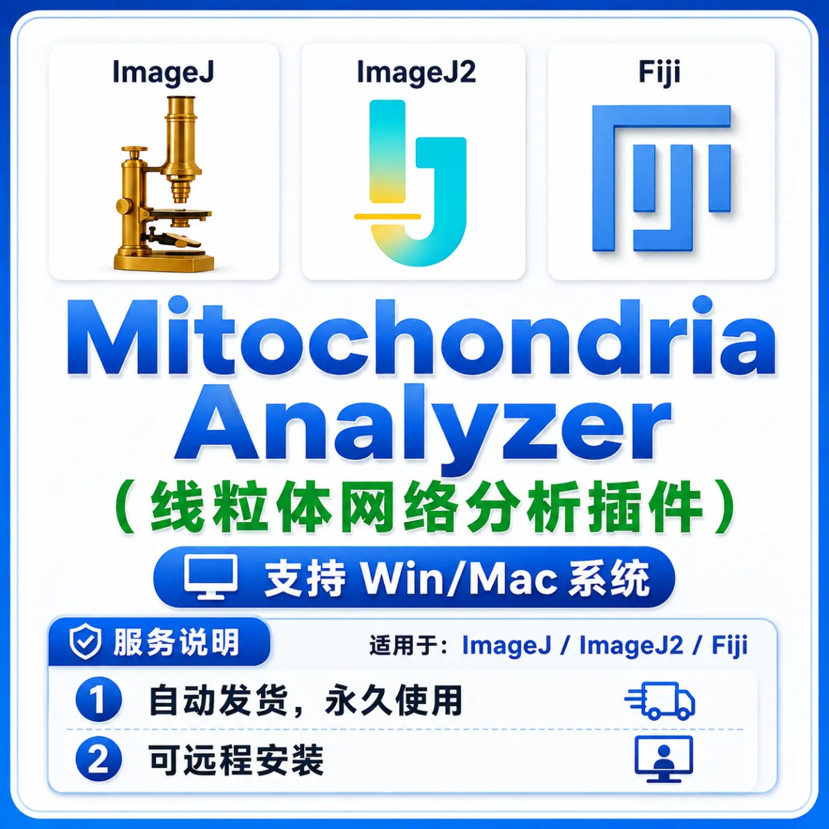 Mitochondria Analyzer 线粒体网络分析插件