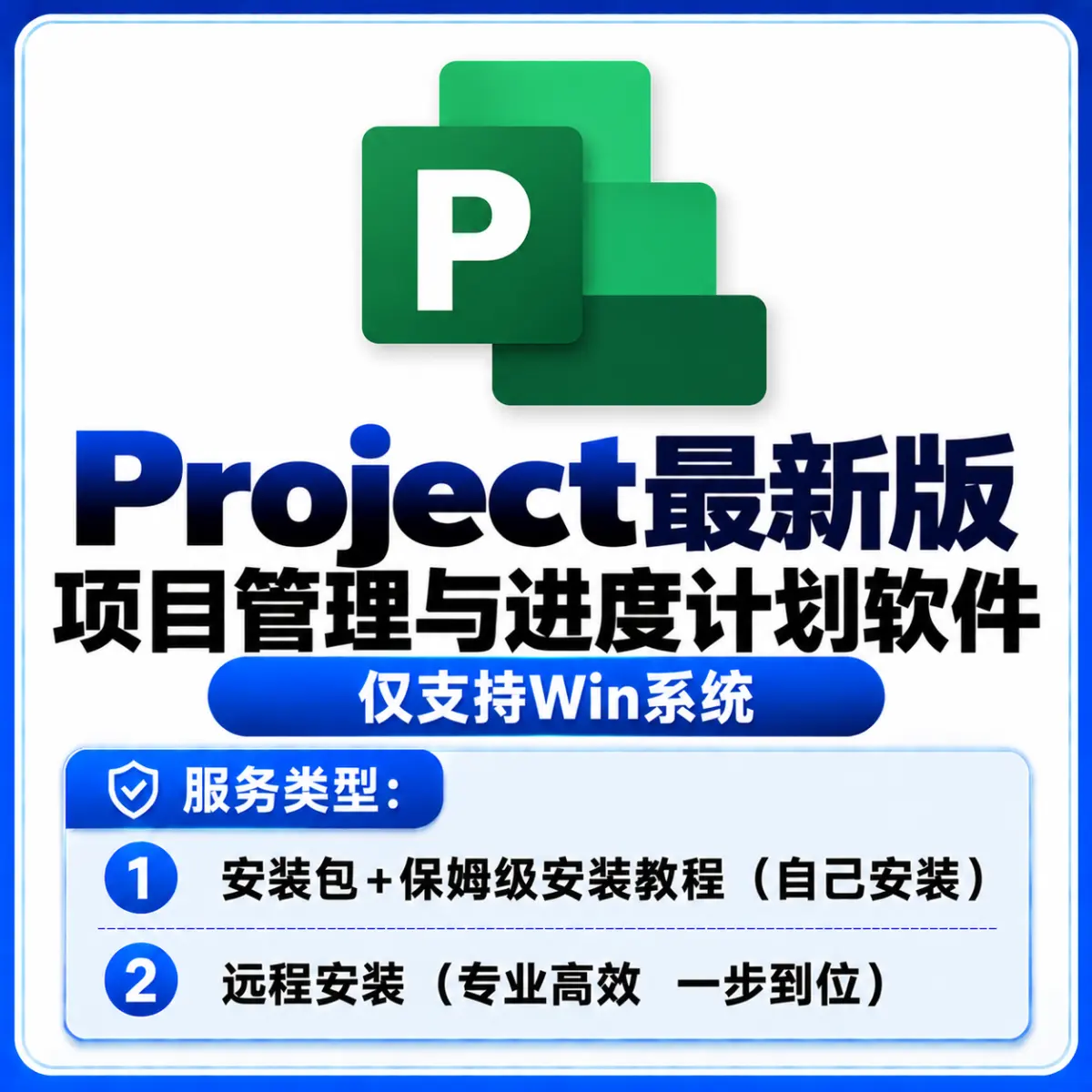 Project 安装服务